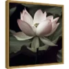 16" X 16" The Lotus I By Andy Neuwirth Framed Canvas Wall Art - Amanti Art 1 16" X 16" The Lotus I By Andy Neuwirth Framed Canvas Wall Art - Amanti Art -Home Shop GUEST 0a485512 d3ee 4c60 9767 449b3ceefddb