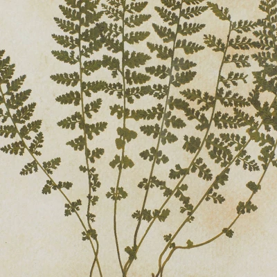 Farmhouse Wood Leaf Framed Wall Art With Brown Frame Set Of 2 Light Brown - Olivia & May 6 Farmhouse Wood Leaf Framed Wall Art With Brown Frame Set Of 2 Light Brown - Olivia & May - Image 4