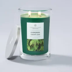 19oz Evergreen Cedar Leaf Jar Candle - Home Scents -Home Shop GUEST 0e75b7e0 22f4 4d90 8ced e5b23e07c7c0