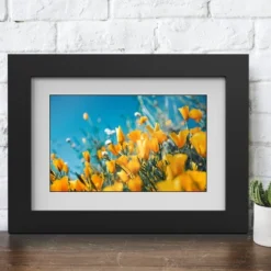 Monster Smart Home 16 GB Digital Photo Frame, High Definition 1280p Smart Picture Frame-8 Inch -Home Shop GUEST 0f820aef 8bdd 418c b342 1b46dd853200