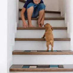 World Rug Gallery Contemporary Modern Boxes Non-Slip Stair Treads 17 World Rug Gallery Contemporary Modern Boxes Non-Slip Stair Treads -Home Shop GUEST 17eb67d1 4555 4e15 8392 48f34d393383