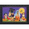 Briarwood Lane Trick Or Treat Dogs Halloween Doormat Cats Jack O'Lantern Indoor Outdoor 30" X 18" -Home Shop GUEST 21de40cd a3cc 4d79 92d0 446cc9808917