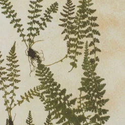 Farmhouse Wood Leaf Framed Wall Art With Brown Frame Set Of 2 Light Brown - Olivia & May 14 Farmhouse Wood Leaf Framed Wall Art With Brown Frame Set Of 2 Light Brown - Olivia & May -Home Shop GUEST 2b49cbae b49e 4f33 85e5 29d468e4eb06