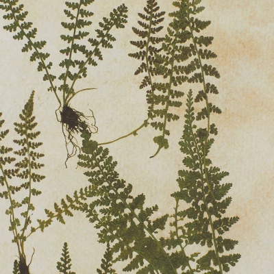 Farmhouse Wood Leaf Framed Wall Art With Brown Frame Set Of 2 Light Brown - Olivia & May 7 Farmhouse Wood Leaf Framed Wall Art With Brown Frame Set Of 2 Light Brown - Olivia & May - Image 5