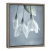 16" X 16" USA, Washington, Silverdale. Japanese Snowbell Tree Blossoms. Framed Canvas Wall Art - Amanti Art -Home Shop GUEST 2b678651 b73a 45e6 afbb 927464d9a30b