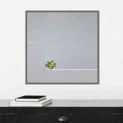 22" X 22" Solo Succulent By Rolf Endermann Framed Canvas Wall Art Gray Wash - Amanti Art 14 22" X 22" Solo Succulent By Rolf Endermann Framed Canvas Wall Art Gray Wash - Amanti Art -Home Shop GUEST 4241cac6 08a1 4981 946f 7eb5ad72a5f4