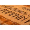 1'4" X 2'4" Autumn Skies Pumpkin Pies Indoor/Outdoor Coir Doormat Orange/Brown - Entryways -Home Shop GUEST 4fcd1a3c 4852 4ef3 8bb9 78e3bbe35445