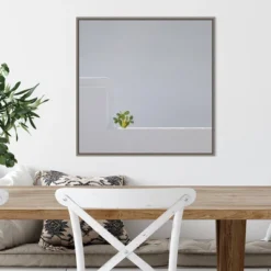 22" X 22" Solo Succulent By Rolf Endermann Framed Canvas Wall Art Gray Wash - Amanti Art 13 22" X 22" Solo Succulent By Rolf Endermann Framed Canvas Wall Art Gray Wash - Amanti Art -Home Shop GUEST 503c2573 0d92 46a2 85f3 586a066bc7c5