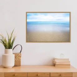 23" X 16" Hawaiian Shoreline And Ocean By Design Pics Danita Delimont Framed Canvas Wall Art - Amanti Art 14 23" X 16" Hawaiian Shoreline And Ocean By Design Pics Danita Delimont Framed Canvas Wall Art - Amanti Art -Home Shop GUEST 59205b1e e841 40ee 8bb1 6c5a0c8d0696