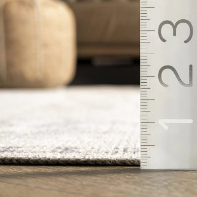 NuLOOM Krystin Distressed Machine Washable Area Rug 6 NuLOOM Krystin Distressed Machine Washable Area Rug - Image 4