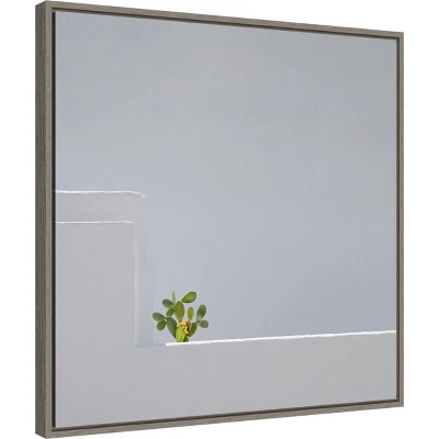 22" X 22" Solo Succulent By Rolf Endermann Framed Canvas Wall Art Gray Wash - Amanti Art 3 22" X 22" Solo Succulent By Rolf Endermann Framed Canvas Wall Art Gray Wash - Amanti Art