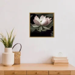 16" X 16" The Lotus I By Andy Neuwirth Framed Canvas Wall Art - Amanti Art -Home Shop GUEST 6f274d81 bd8c 40ac 8c4a 350dee74486a