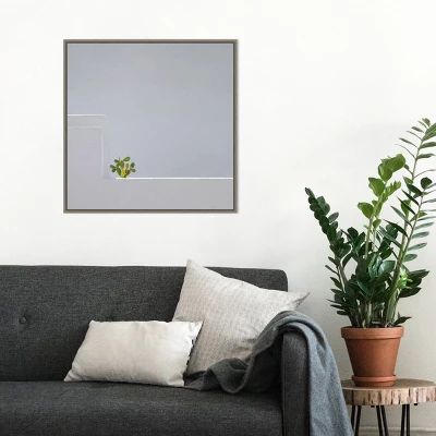 22" X 22" Solo Succulent By Rolf Endermann Framed Canvas Wall Art Gray Wash - Amanti Art 8 22" X 22" Solo Succulent By Rolf Endermann Framed Canvas Wall Art Gray Wash - Amanti Art - Image 6