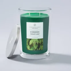19oz Evergreen Cedar Leaf Jar Candle - Home Scents -Home Shop GUEST 90443749 eecb 423d b7e8 ff991594a976