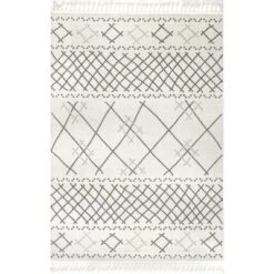 NuLOOM Alara Modern Trellis Tassel Area Rug -Home Shop GUEST ad9c946e b11d 45e1 a6a6 a781db4411d0