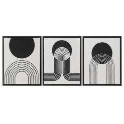 3pc Cosmic Curl Framed Wall Canvas Set Black/Taupe - Urban Habitat