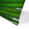 Single Palm Leaf By Tanya Shumkina Throw Pillow - Americanflat -Home Shop GUEST c5bab3e7 4ba1 49b2 9ed7 24fe20ff40fc