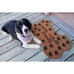 1'5" X 2'5" Wipe Your Paws Indoor/Outdoor Coir Doormat Black/Brown - Entryways